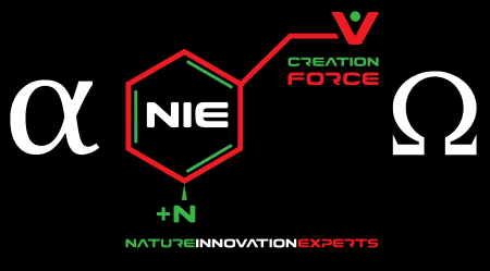 Design ohne Titel (1)